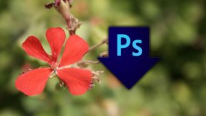 PHOTOSHOP: Automating Tasks