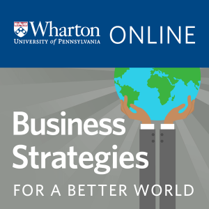 Business Strategies for A Better World