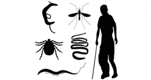 Tropical Parasitology: Protozoans