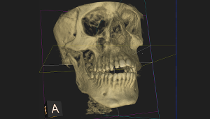 Introduction to Dental Medicine