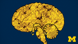 Sleep: Neurobiology